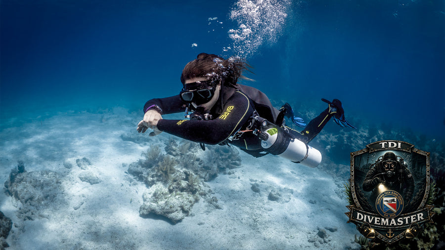TDI Technical Divemaster