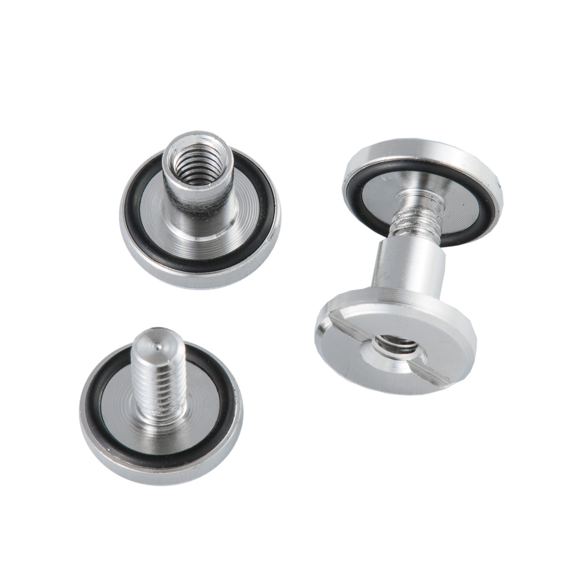 DIVE RITE Assembly Screws- SS (Set of 2)
