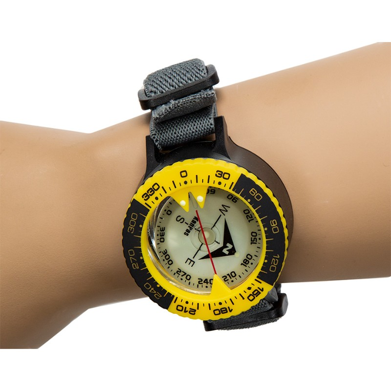 KANPAS Compass