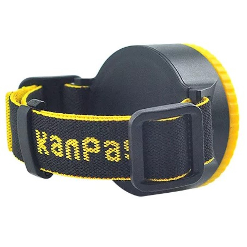 KANPAS Compass