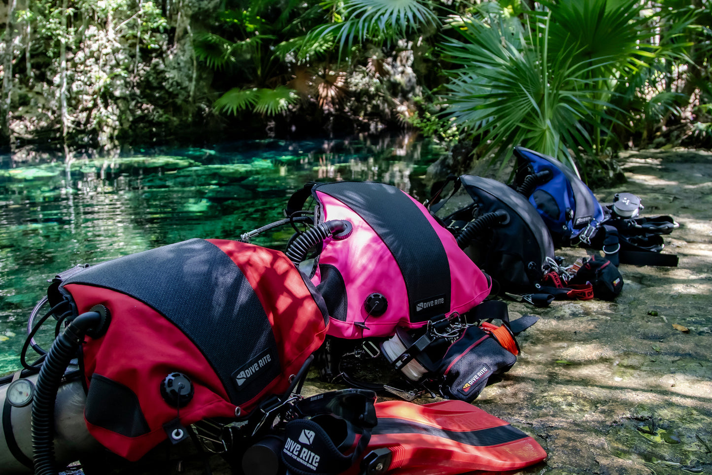 DIVE RITE Nomad Ray Sidemount System