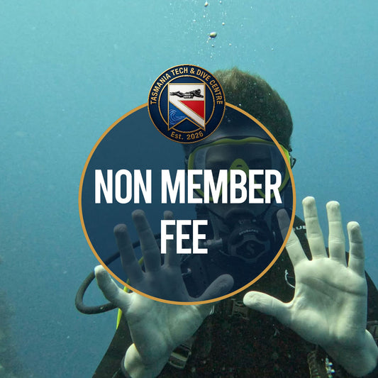 Non-member dive fee