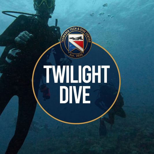TTDC Twilight Dive