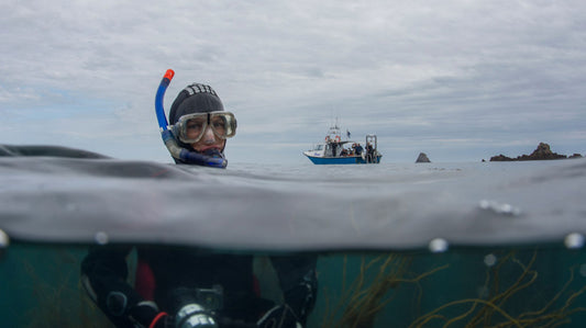 Snorkeler