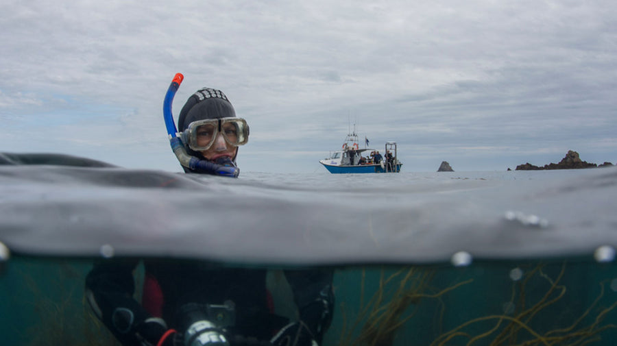 Snorkeler
