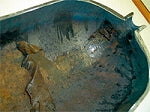 Apollo Bio Filter